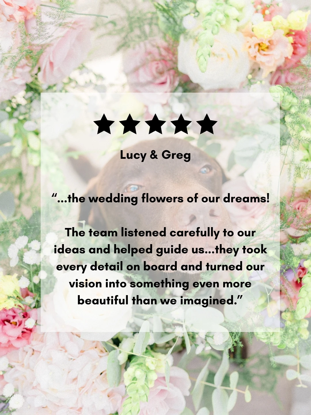 Lucy & Greg Palm House Sefton Park Liverpool Lucy & Greg Palm House Sefton Park Liverpool